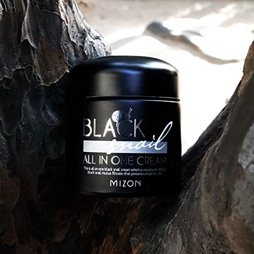 MIZON Black Snail All In One Cream, Premium Snail Repair Cream (75ml)