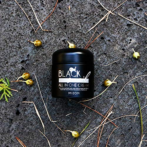 MIZON Black Snail All In One Cream, Premium Snail Repair Cream (75ml)